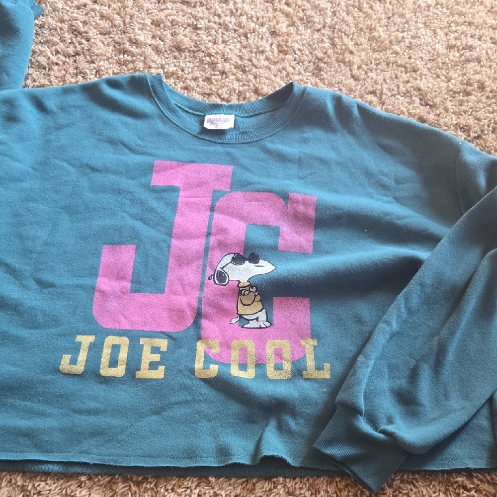 Peanuts Teal and Pink Joe Cool Sweatshirt
